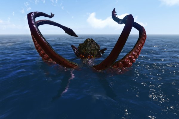 Kraken whitenet
