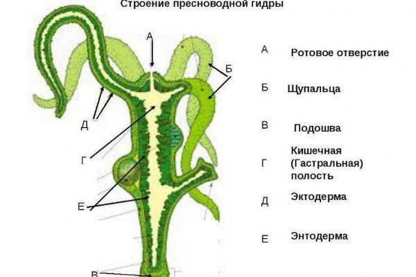Кракен маркет супернет тор