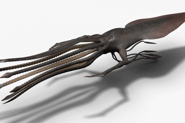 Kraken cc
