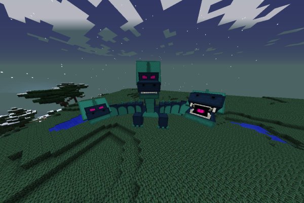 Kraken 5 at