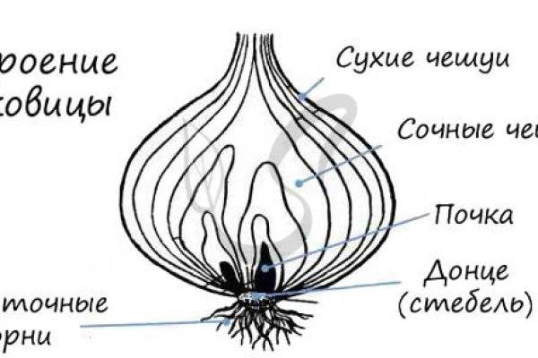 Кракен безопасный вход