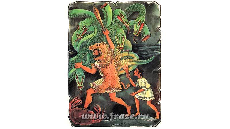 Kraken tor link